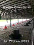 鹅棚搭建--西洼禽业6.jpg