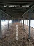 鹅棚搭建--西洼禽业4.jpg